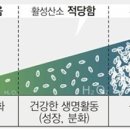 한국산소 이미지