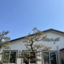 소나무카페(소나무관광농원) | [담양] 단체모임하기 좋은 떡갈비 한정식, 담양맛집 추천, 황금소나무