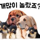 바디핏디자인짐 이미지