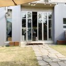 마을애견 이미지