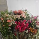 중앙플라워(생화) | 꽃으로 장식하는 공간, 플라워 샹들리에 만들기 || 생화 샹들리에 공간장식 with of.yen