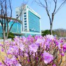 공공운수사회서비스노동조합 충주시공무직 | 원주시-공무직노조, 2024·2025 임금협약 전격 타결!
