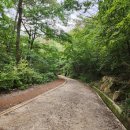 노고산 공중화장실 | 구례 가볼만한곳 초보자도 가능한 지리산 노고단 등산 후기(예약 방법, 주차료 등산 코스 등)