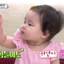 하연 이미지