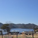 멍멍드림 이미지