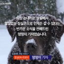24시 잠실온 동물병원 이미지