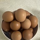 녹인월드(주) | 이번주 소비 리스트