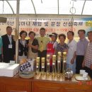 이안솔라 이미지