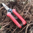 심심산골 이미지