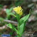 2021가람시화전,시낭송회 이미지