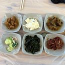 설악해수욕장 주차장 화장실 | 재방문의사 100% 속초해수욕장 맛집 추천 노포 야장 횟집 꼴망치회 내돈내산 [복용호]
