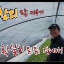 흥농상회 이미지