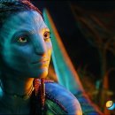 21세기오피스 이미지