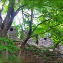 남산공원길3 이미지