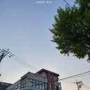 안국역 한식 맛있는 만두전골과 우유케이크