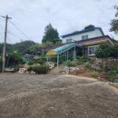 다미가든 이미지