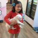 쁘띠시앙 이미지