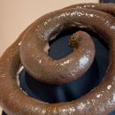 병천순대 이미지