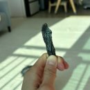 김선생펫푸드 이미지