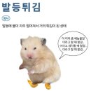 남촌횟집 이미지