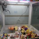 핫뽑기방 이미지