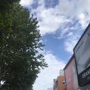 강남의림한의원 이미지