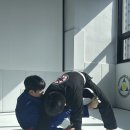 존프랭클 위즈덤 주짓수 이미지