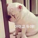 이발하기좋은날 이미지