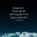 엄지공주 - 대덕구 동춘당로114번길 9 | 엄지공주
