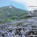 대장금마실길(4코스) 이미지