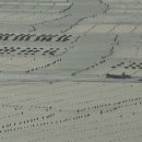 꿈의 비행 이미지