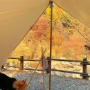 깊은골캠핑장 이미지