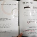 가온미의원 | 부산 남포동 :: 자연눈썹 부산 다니부띠끄 가온미의원 real 후기~!