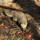 전주동물원 이미지