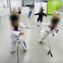 경희대튼튼태권도 이미지