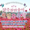 천일홍축제 이미지