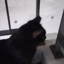 레디 코인노래연습장 이미지