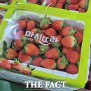 사천시농협농산물산지유통센터(사천농협) 이미지