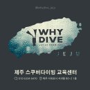 제주더와이 이미지