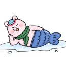 청평호반문화체육센터 수영장 이미지