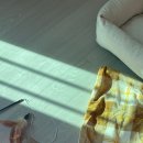 몽이네쉼터 네이버블로그