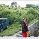 유리농원 이미지