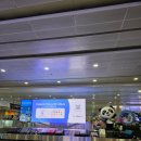 (주)동서울택시(자가정비) | [중국/상하이] 찐친여행 1일 차