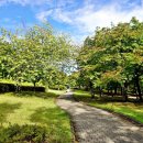 정발산파크골프장 | 일산 정발산 가을산책 고양 파크골프장 반려견놀이터