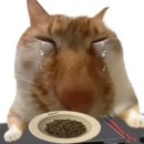 구제불능 - 부평구 배곶로69번길 3 | 구제불능