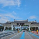 진안 메타세쿼이아길 | 전북 진안 부귀메타세쿼이아길, 전주 근교 드라이브 산책 코스로 추천!