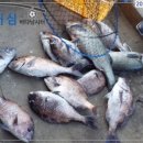 어심 - 종로구 삼일대로28길 12 | 어심