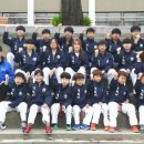 경희대 진명태권도 이미지