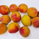 하모니청과 이미지