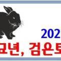 일출양행 이미지